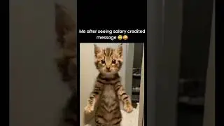 #salary credited #reaction of #corporate people 😂#shorts#viral #shortsyoutube @sakshivarshney5499