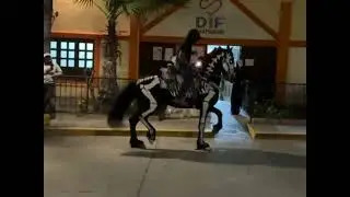 Horse from hell