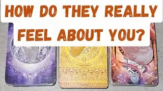 PICK - A - CARD  HOW DOES YOUR PERSON FEEL ABOUT YOU RIGHT NOW?