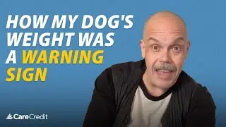My Dog&rsquo;s Weight Gain Turned into a Veterinary Emergency | CareCredit Cardholder Testimonial