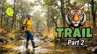 Pench Tiger Trail 🐯 (Episode 2) with India Hikes @ Pench Tiger Reserve