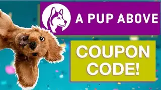 A Pup Above Coupon Code [UPDATED 2026] - Save $50 on your first order!