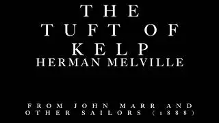 The Tuft of Kelp