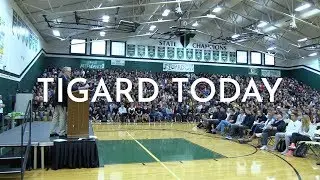 Bonus Video - Top Tiger Awards