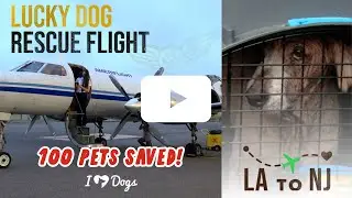 WOW... 😭 YOU CHANGED THEIR LUCK! 🍀 (Second Chance Flight)