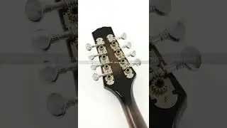 Dark Gray Finish A-Style Mandolin (M-8BK) #mandolin #mandolininstrument #ppeq #ppeqmandolin