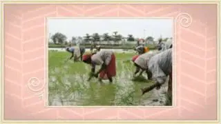 Chhattisgarh | Sable Badiya