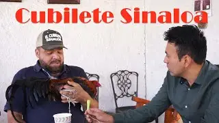 Lineas del cubilete de Sinaloa | Ganador del intercontinental.