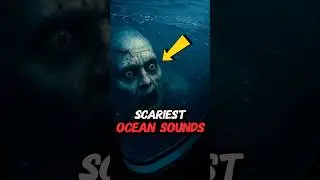 САМЫЕ СТРАШНЫЕ ЗВУКИ В ОКЕАНЕ