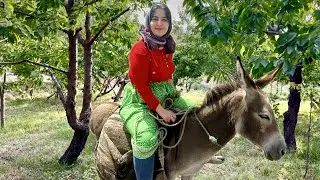 Rural Life In Iran: Riding My Donkey & Baking Amazing Bread & Cooking