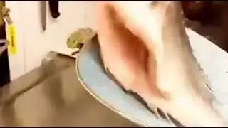 🦈🦈How to remove fish skin🦈🦈