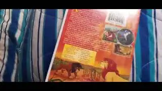 The DVD The Lion King II: Simba&rsquo;s Pride