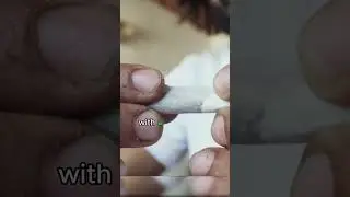 🌿 Snoop Dogg's Joint Roller: A High End Job! 🚬👨&zwj;🔧#snoopdogg  #facts