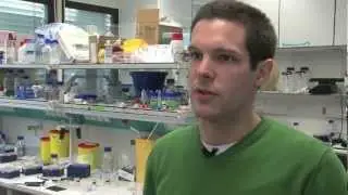 Microfluidics: putting a lab on a chip