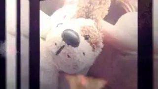 Meet Chooche :3
