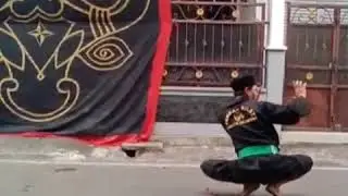 Pencak silat GARUDA CILIWUNG kota malang