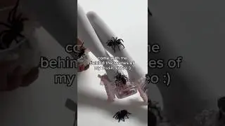 should i adopt a pet tarantula? 🕷️