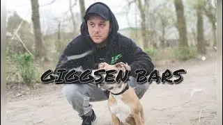 Mr. Nuttenficker ~ GIGGSEN BARS (prod. VINTAGEMAN)