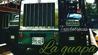 la guapa🤑😎                                  #alextaborda #tractotrocas