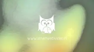 SmartWebVideo uil