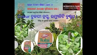 Dabur Tulsi Drops Strong natural Immunity Booster | Review | Dosage & Uses | Benefits | Odia