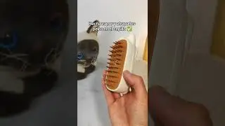 Este cepillo de vapor es perfecto para tu gato 😺 #mascotas #cepillo #pelo #cepilloelectrico #gato