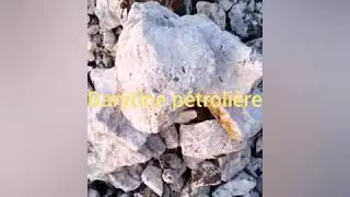 Travaux d'exploitation du barytine