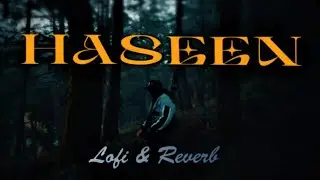 HASEEN (Slowed + Reverb) | Talwiinder | Aesthetic Punjabi Lofi | NightCry Lofi ✨