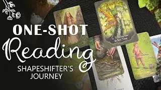 Shapeshifter’s Journey | One-Shot Readings