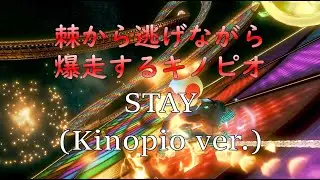 棘から逃げながら爆走するキノピオ！【STAY キノピオフルver.】【マリオカート8DX】