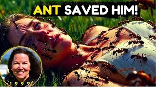 She Died  Ants Saved | Real life emotional story
