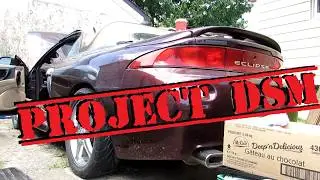 PROJECT DSM - Am I in Over My Head??!!!