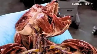 The Gorilla Experiment | Hollow Man (2000) | Screenfinity