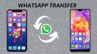 Transfer Whatsapp Between iPhone and Android | Dr. Fone Whatsapp Transfer |