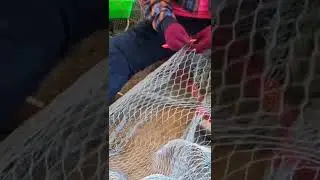 SUPER SKILLED fishing net making 😲😳🇹🇼 #buhayfisherman #ofw #netmaking