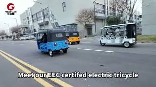 fengmade，a leading electric tricycle manufacturer #ElectricTricycle#TricicloEletrico#Tricycle 