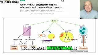 Como o &Aacute;cido But&iacute;rico Potencializa a Sa&uacute;de Intestinal