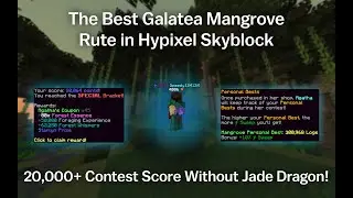 The Best Mangrove Route in Hypixel Skyblock | 900k+ Collection per hour without Jade Dragon!