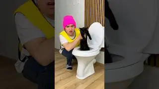I found cat in the toilet🐈&zwj;⬛🚽🍭🤢