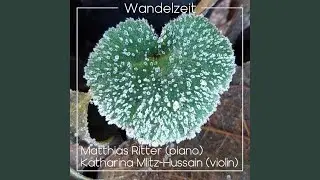 Wandelzeit