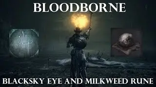 Bloodborne - Blacksky Eye Tool & Milkweed Rune