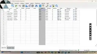 Latihan input data excel dan transformasi data di SPSS