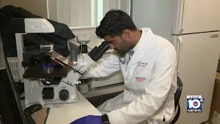 Researchers in Miami linking virus to cancer in search of treatments