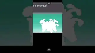 My Fusion Pok&eacute;mon Are Evolving #pokemon #pokemonevolution #pokemonevolve #pokemonfusions