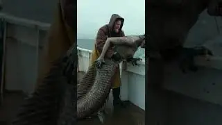 Mysterious Deep Ocean Creature Caught by Fisherman 😱🌊 #shorts