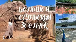 Большой Сеульский Зоопарк| Корейское барбекю