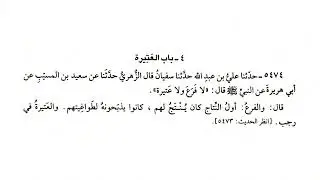 5474 حديث لا فرع ولا عتيرة | صحيح البخاري