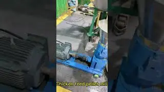 corn+grass mixed material making poultry feed pellet 3mm, animal feed pellet machine test for Korea