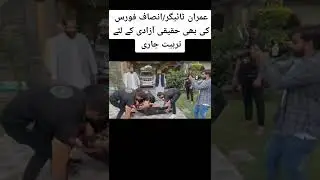 Imran tigers force