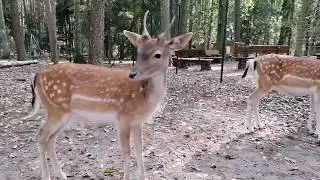 Ruppiner Land mit Camper